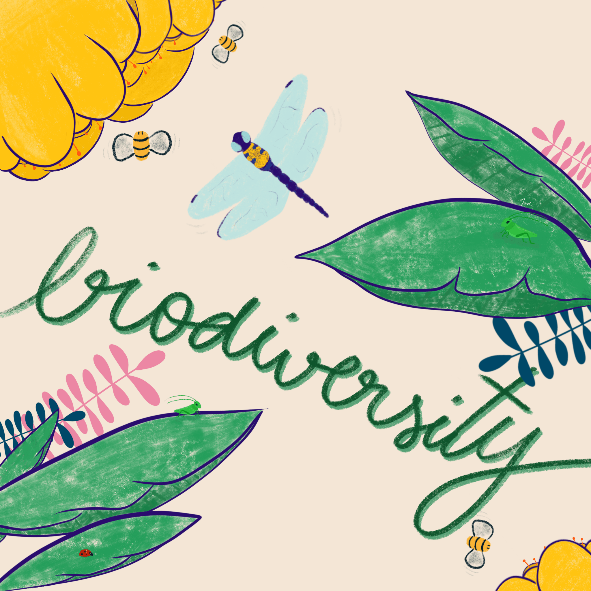 Biodiversity-min.png